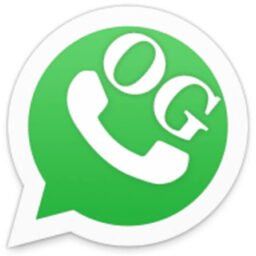 دانلود اوجی واتساپ جدید OGWhatsApp 2.19.17 اندروید